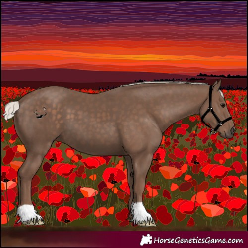 Horse Color:Silver Black 