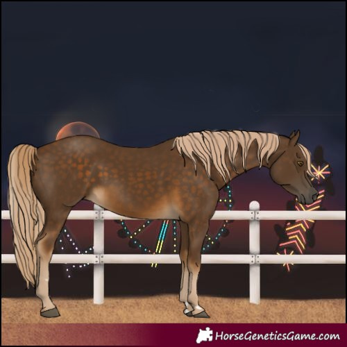 Horse Color:Chocolate Palomino 