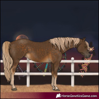 Horse Color:Chocolate Palomino 