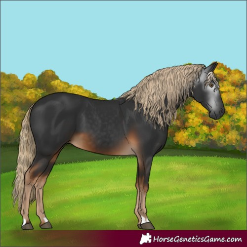 Horse Color:Gray Chocolate Palomino 