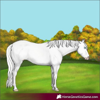 Horse Color:Silver Perlino Dun 