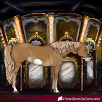 Horse Color:Chocolate Palomino Dun Frame