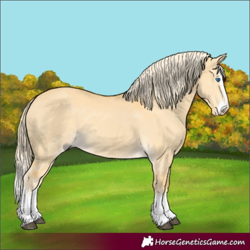 Horse Color:Palomino Dun Splash 