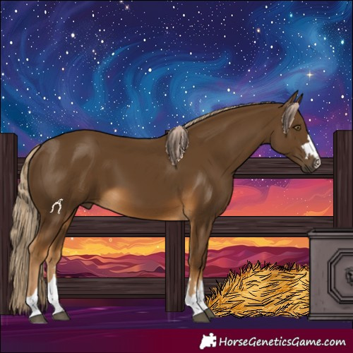 Horse Color:Chocolate Palomino 