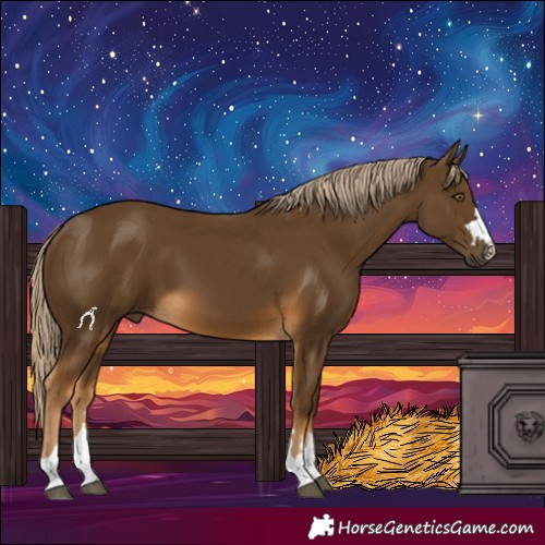 Horse Color:Chocolate Palomino 