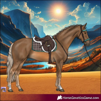Horse Color:Chocolate Palomino