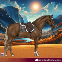 Horse Color:Chocolate Palomino 