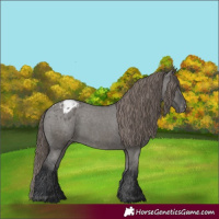 Horse Color:Grullo Varnish 