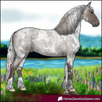 Horse Color:White Spotted Silver Blue Roan 