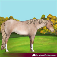 Horse Color:Liver Red Roan Pearl 