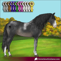 Horse Color:Black Sabino Tobiano Appaloosa Rabicano 