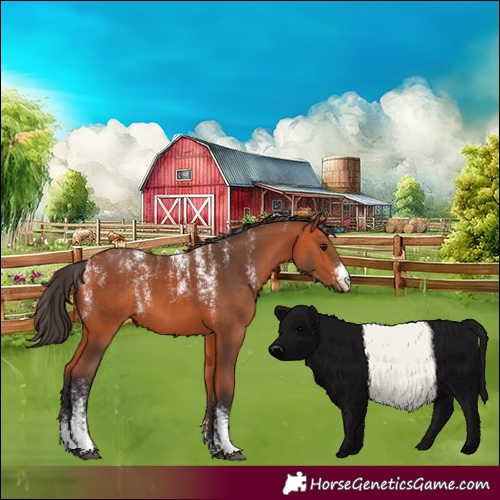 Horse Color:Powder White Bay 