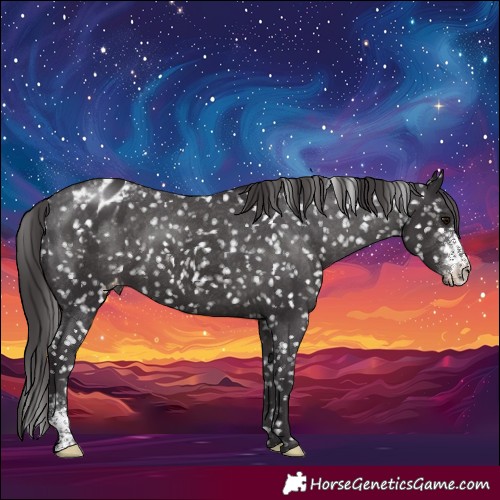 Horse Color:Smoky Black Sabino Appaloosa Rabicano 