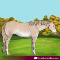 Horse Color:Smoky Creme Rabicano