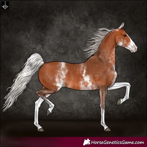 Horse Color:White Spotted Silver Bay Splash 