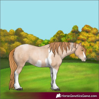 Horse Color:Red Roan Pearl Tobiano Frame 