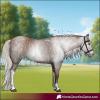 Horse Color:Gray Silver Black Pearl Tobiano 