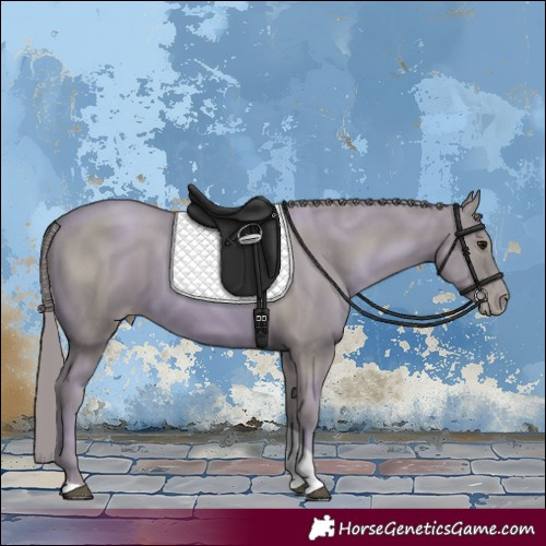 Horse Color:Watercolor Black Pearl Tobiano 