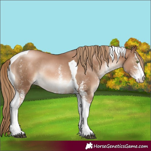 Horse Color:White Spotted Liver Chestnut Pearl Tobiano Rabicano 