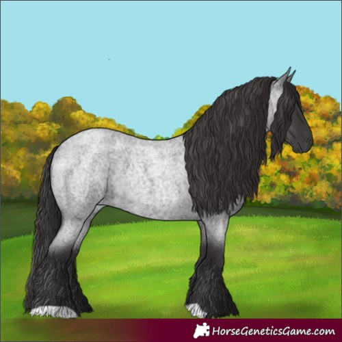 Horse Color:Smoky Blue Roan 