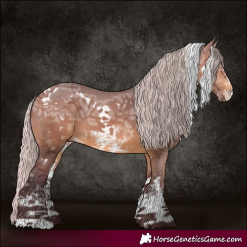 Horse Color:White Spotted Chocolate Silver Brown Chinchilla Ice Sabino Rabicano