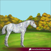Horse Color:Nacre White Spotted Silver Bay Chinchilla Ice Rabicano 