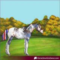 Horse Color:Painted White Spotted Silver Brown Onyx Tobiano Appaloosa 