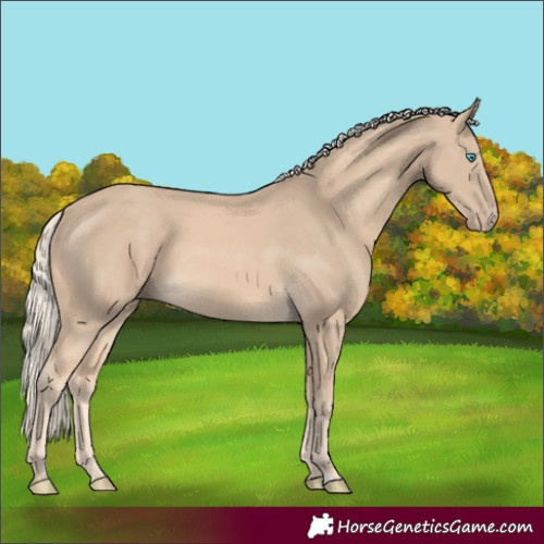 Horse Color:Cremello 