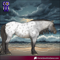 Horse Color:Buckskin Roan Blanket