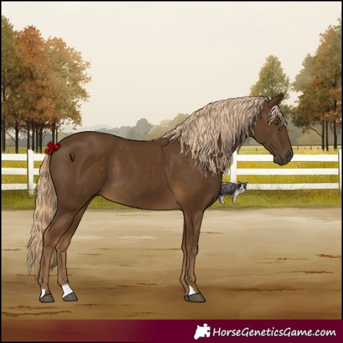 Horse Color:Chocolate Palomino 