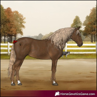 Horse Color:Chocolate Palomino 