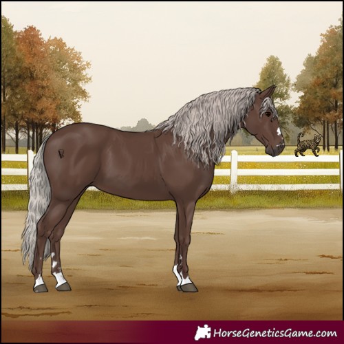 Horse Color:Silver Black 