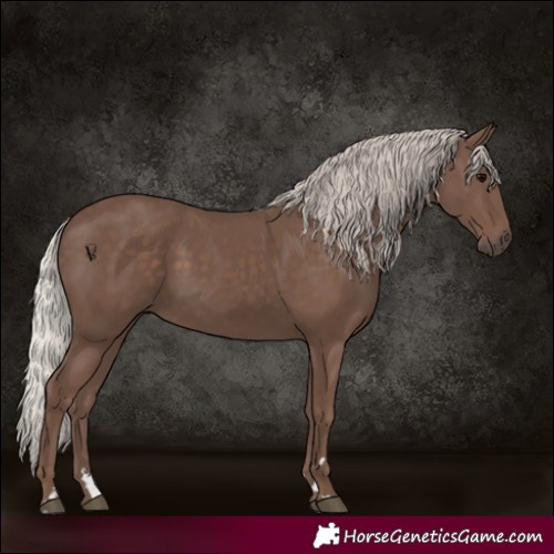 Horse Color:Silver Black 