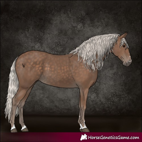 Horse Color:Silver Black 