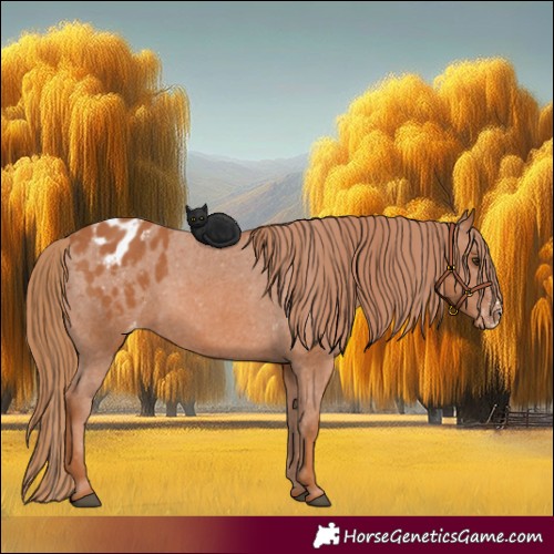 Horse Color:Chestnut Sabino Varnish
