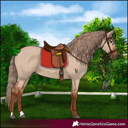 Horse Color:Red Dun 