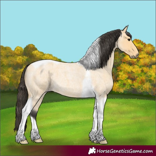 Horse Color:Buckskin Roan Tobiano 