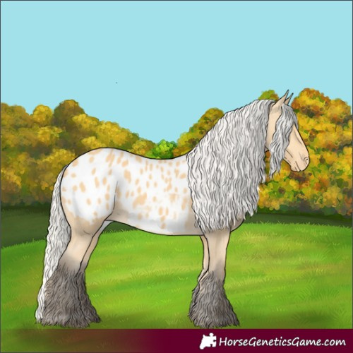 Horse Color:Silver Buckskin Blanket