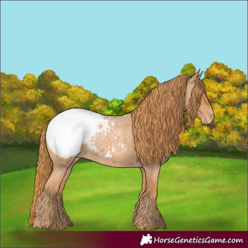 Horse Color:Red Roan Snowcap