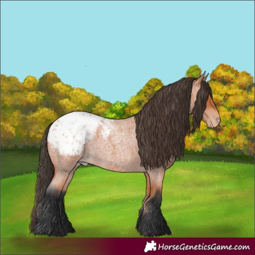 Horse Color:Bay Roan Blanket 