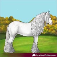 Horse Color:Smoky Creme Roan Appaloosa