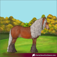 Horse Color:Silver Bay Varnish 