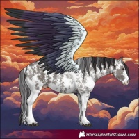 Horse Color:Smoky Grullo Sabino