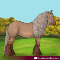 Horse Color:Red Dun 