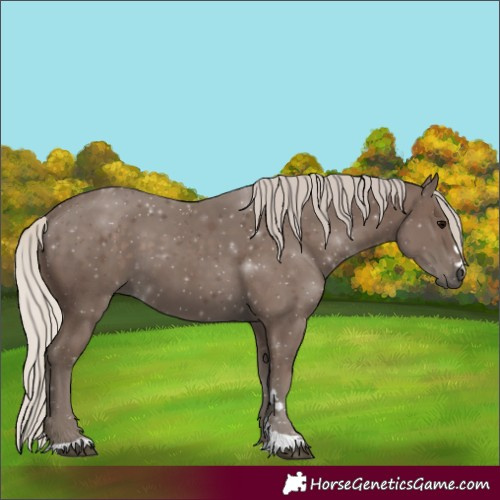 Horse Color:Silver Black 