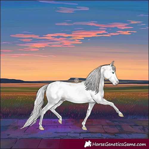 Horse Color:Gray White Spotted Silver Sable Champagne Dun Splash Frame Appaloosa Rabicano 