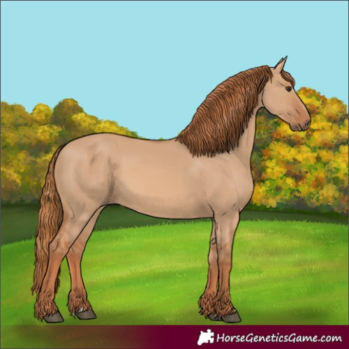 Horse Color:Red Dun 