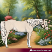 Horse Color:Cremello Dun 