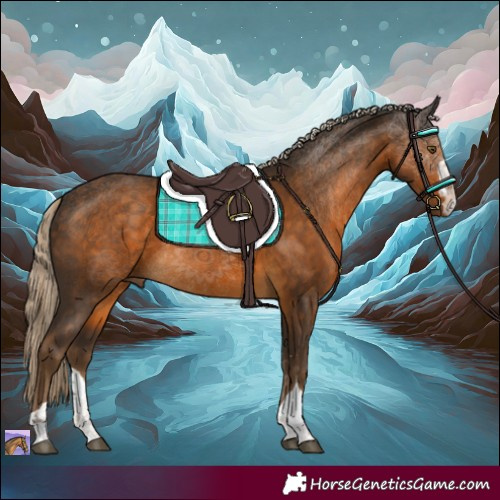 Horse Color:Chocolate Palomino 