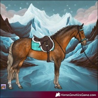 Horse Color:Chocolate Palomino 
